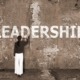 INFORM: Be The Leader